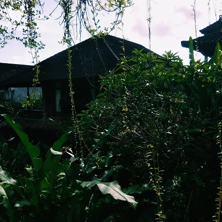 Nani House 2
