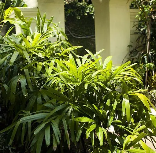 Nani House 2 2*